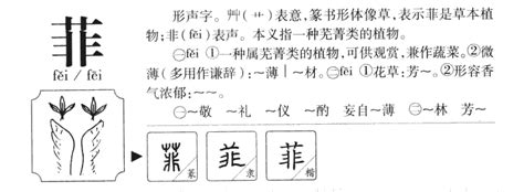 菲字五行|菲（汉语汉字）